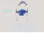 여우일상