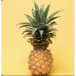 Pineapple_s
