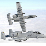 The Warthogs Official Group