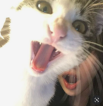 xxLUIXx