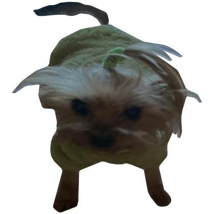 Roblox Item silly dog