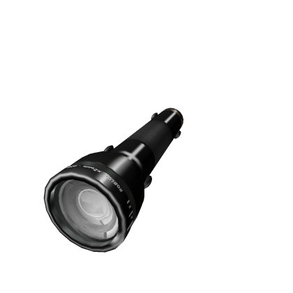 Flashlight (light: BRIGHT)
