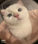 andersoa_20