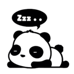 Team_Panditas
