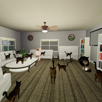 Cat Land