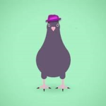 The Very Hot Pigeons