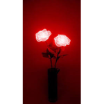 My..roses