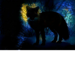 Lonely night