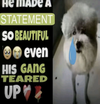 Bald bois sussy