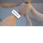 The BunnysXxL