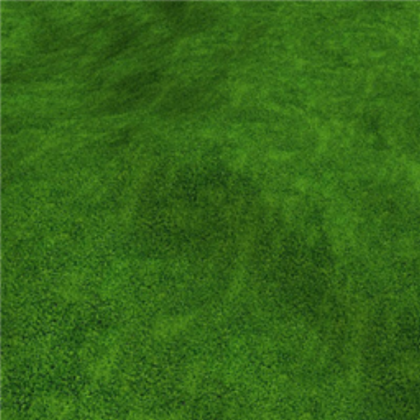 Grass Texture Roblox decal