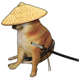 Cheem Lord Kingdom