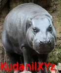 KudanilXYz