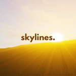 SkyLines Development