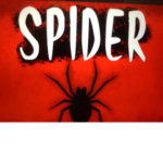 Spider vs person
