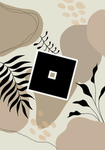 butterfly _store