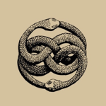 Viperachy