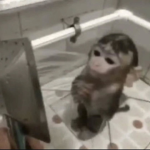 edgarboi