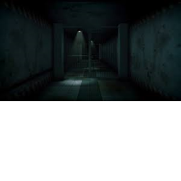 The hospital