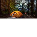 The Campers!!