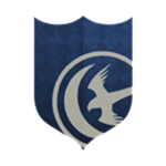 Arryn Army