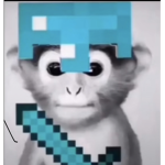 Super silly monkey group