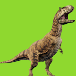 The Dino Dino group