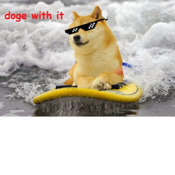 Pirate Doge Tycoon