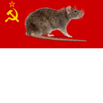 RATS OF THE RED ARMY