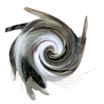 Swirl Wawa