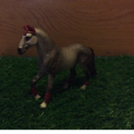 Horses in my heart