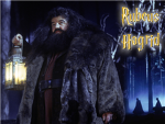 Hagrid