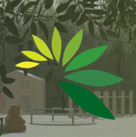 Evergreen Primary