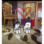 nav n frens