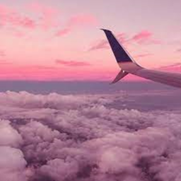 pink land