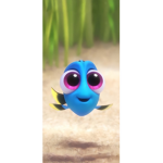 Dori group