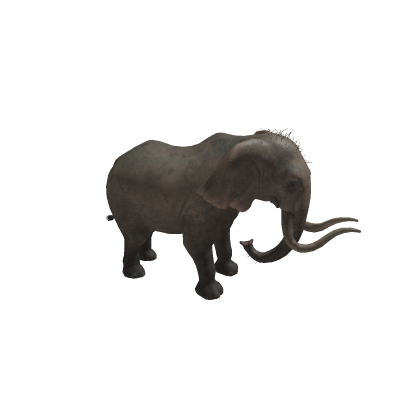 Elefante