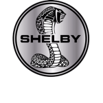 Shelby rocks and roll