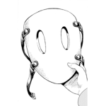 THE HRI MASKS