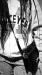 Christian_wolf4