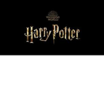 The Hogwarts Station