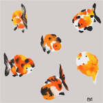 Drowned_Fish