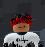 PJ’s Roblox Nation