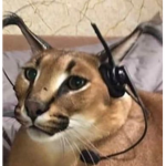 -_-''
