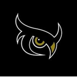 Nighthood Owls