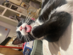 Hi pepper