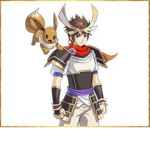Pokemon Conquest Role Play