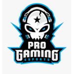 pro gamer's group roblox