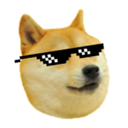 Doge Games office // Admin Play Area // Think Tank