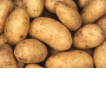 Potato master's kingdom